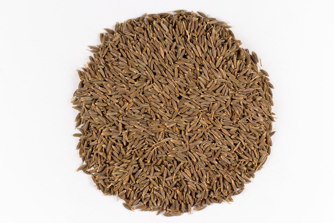 Cumin seeds ready for export