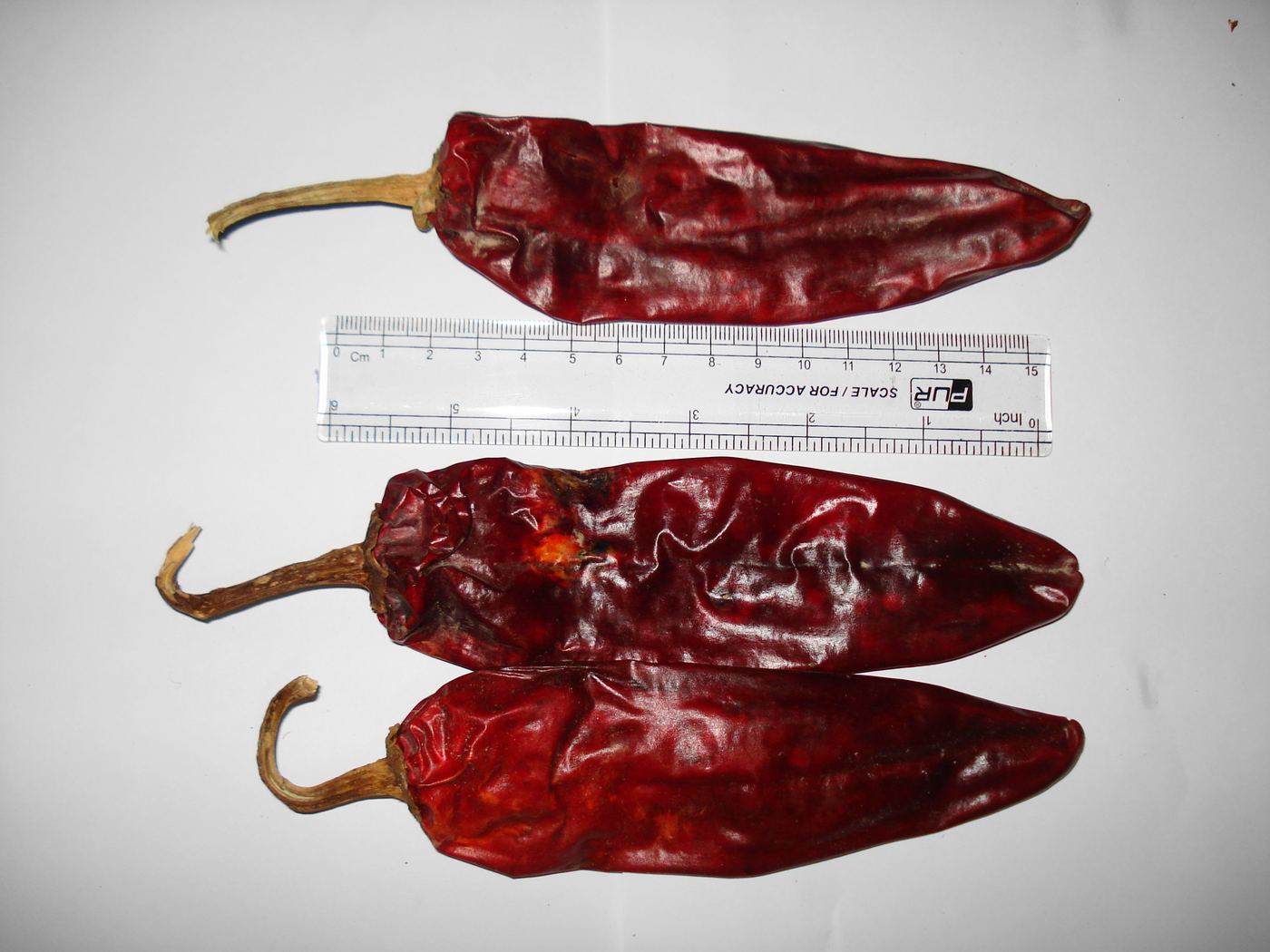 Dried red chilli ready for export
